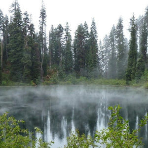 Meet your Posher, Benjamin